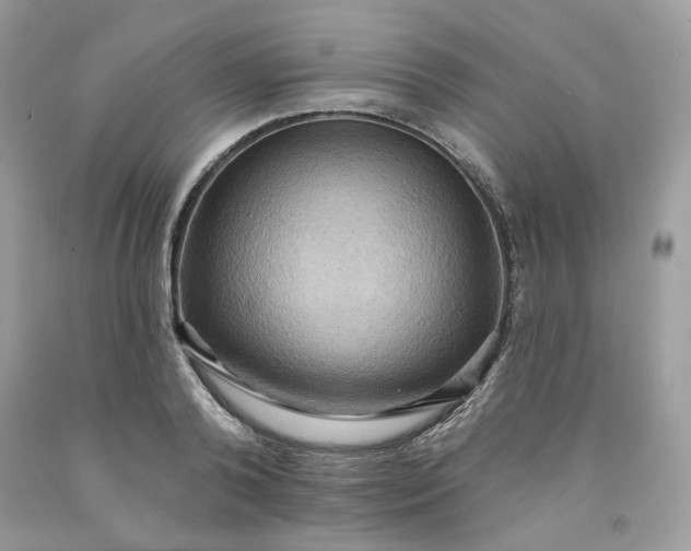 X0000091580792200709051100