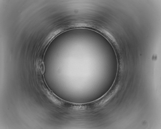 X0000091580793200709051059