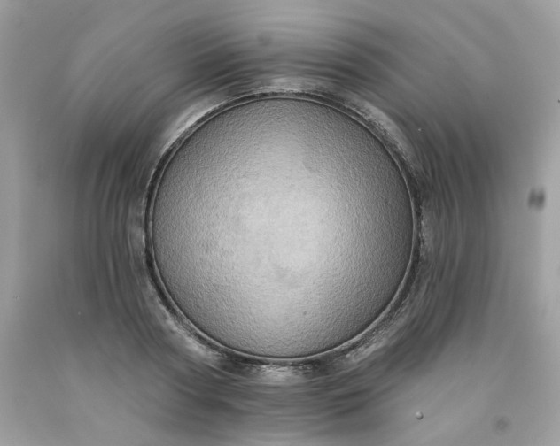 X0000091580794200709051059