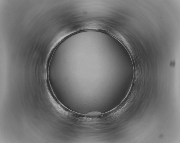 X0000091580795200709051059