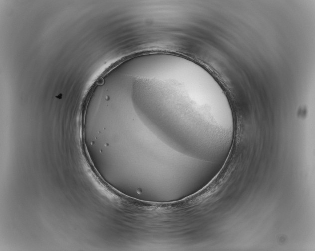 X0000091580796200709051059