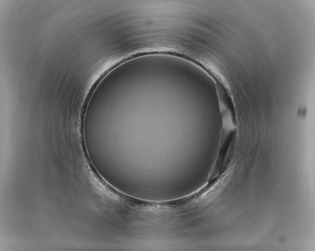 X0000091580797200709051059