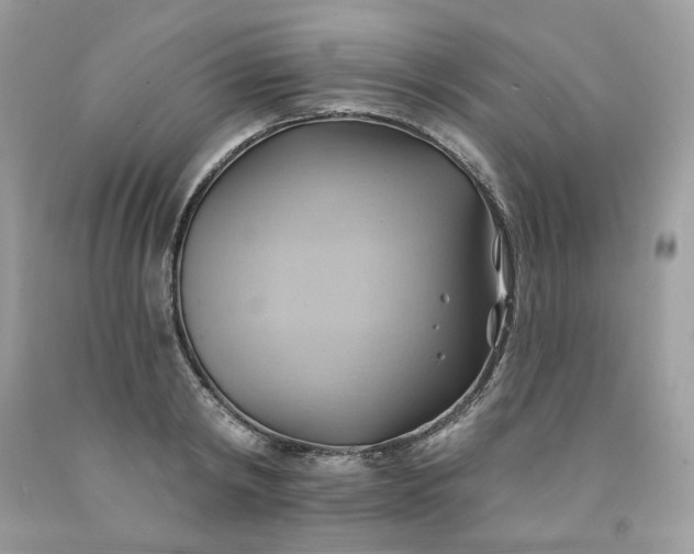 X0000091580798200709051059