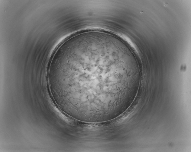 X0000091580799200709051059