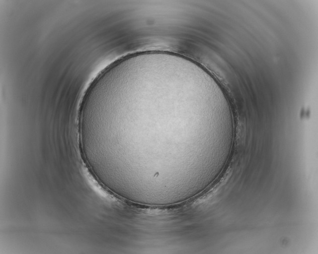 X0000091580800200709051059