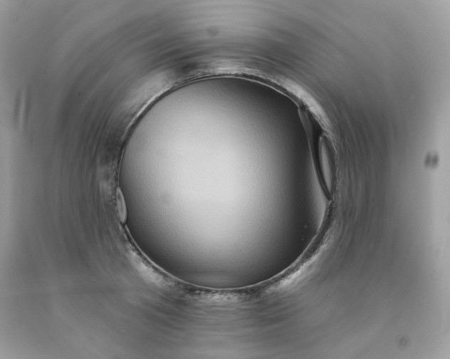 X0000091580801200709051059