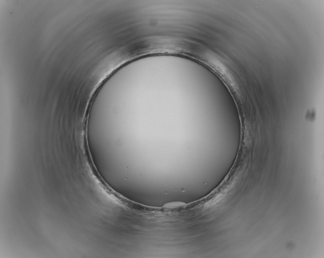 X0000091580802200709051059