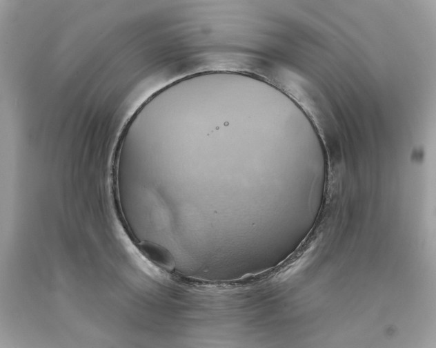 X0000091580803200709051059