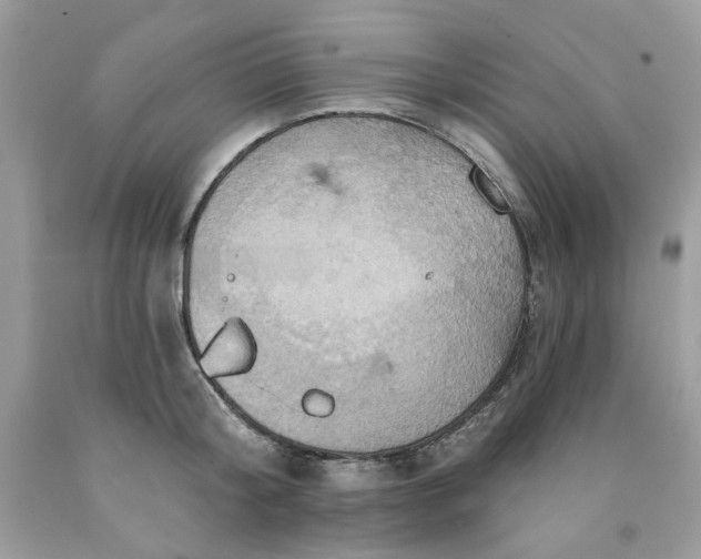 X0000091580804200709051059