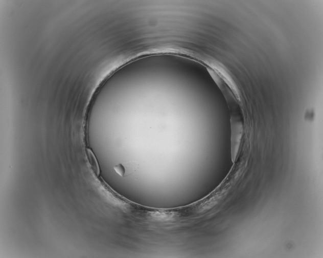 X0000091580805200709051059