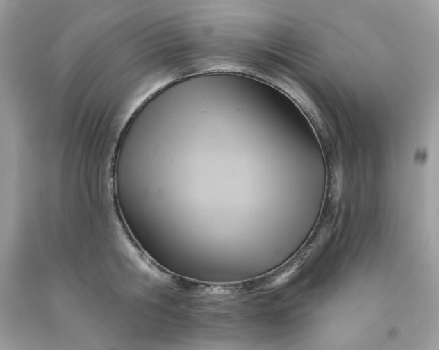 X0000091580806200709051059