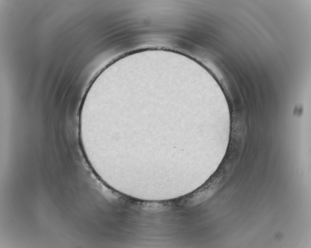 X0000091580807200709051059