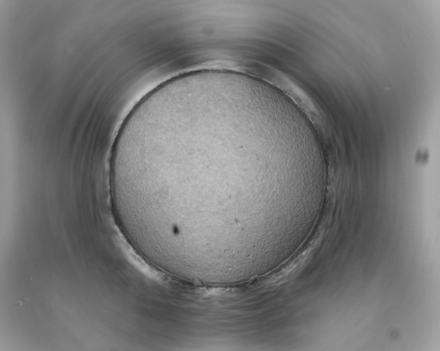 X0000091580808200709051059