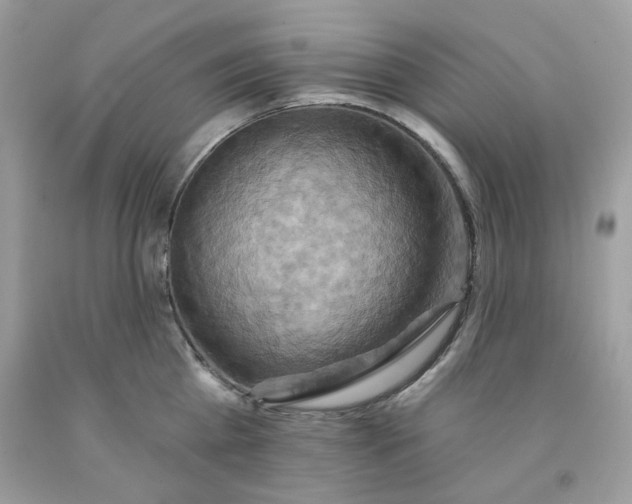 X0000091580809200709051059