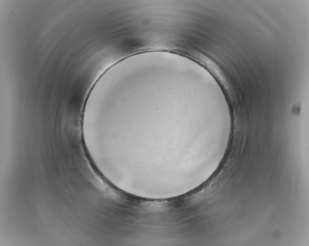 X0000091580810200709051059