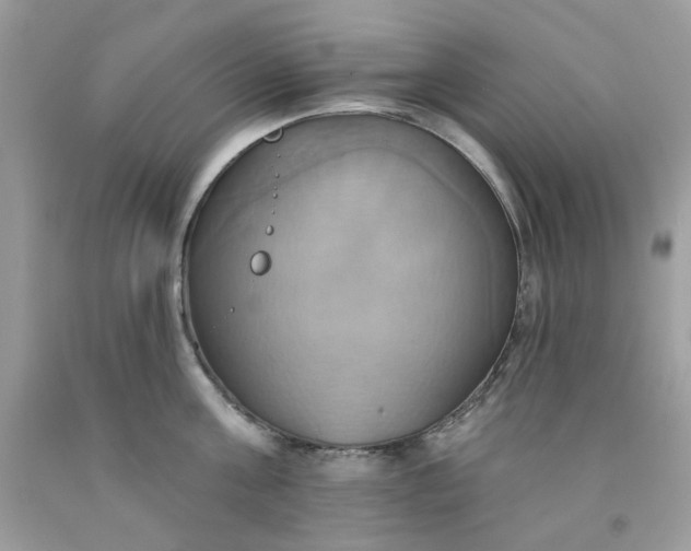 X0000091580811200709051059