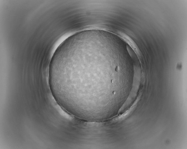 X0000091580812200709051059