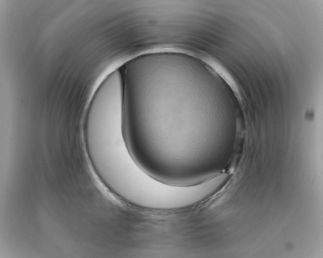 X0000091580813200709051059