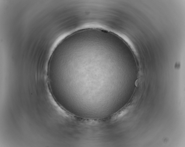 X0000091580815200709051059