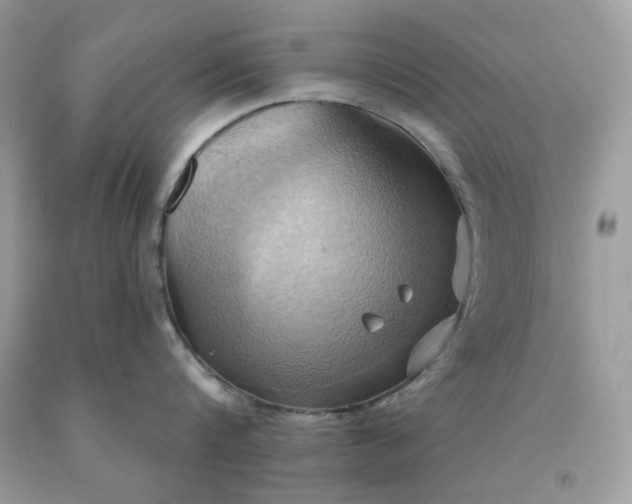 X0000091580816200709051059