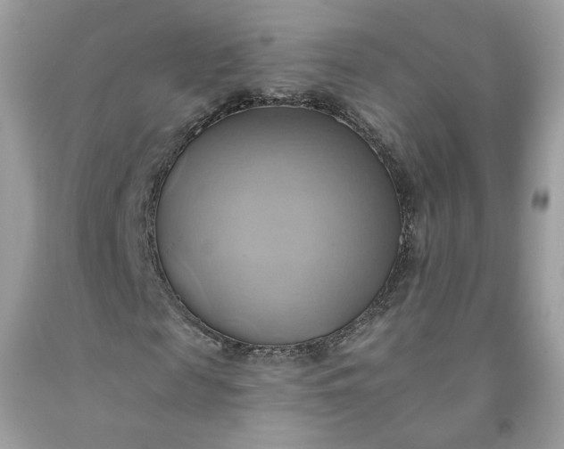 X0000091580817200709051058