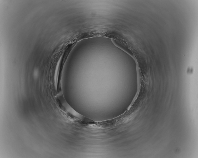 X0000091580818200709051058