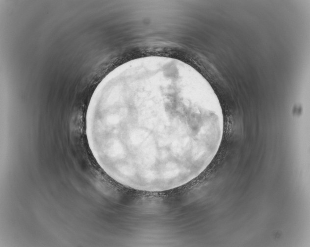 X0000091580820200709051058