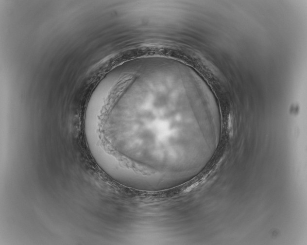 X0000091580821200709051058