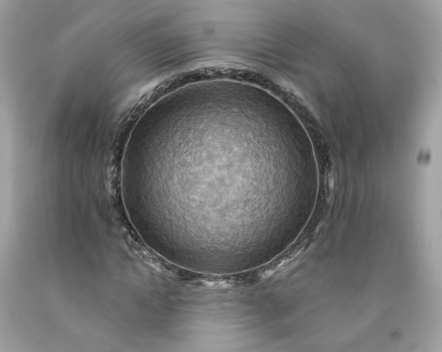 X0000091580822200709051059