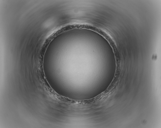 X0000091580823200709051059