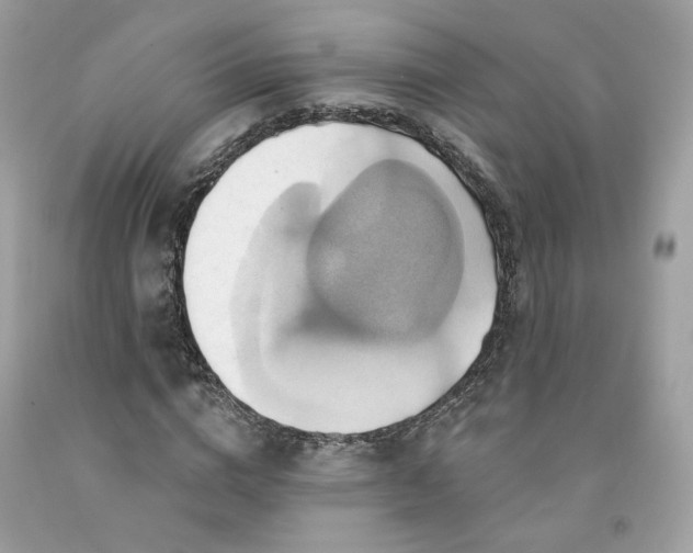 X0000091580824200709051059