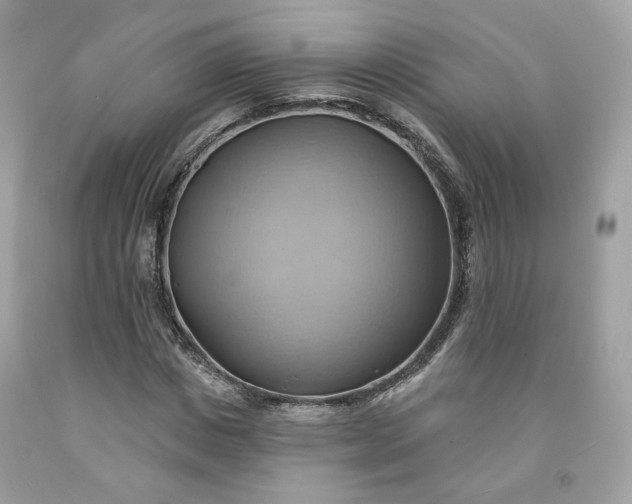 X0000091580825200709051059