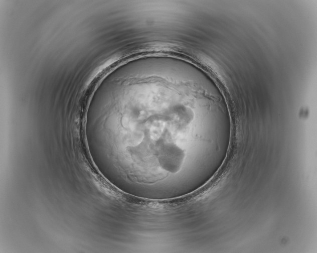 X0000091580827200709051059