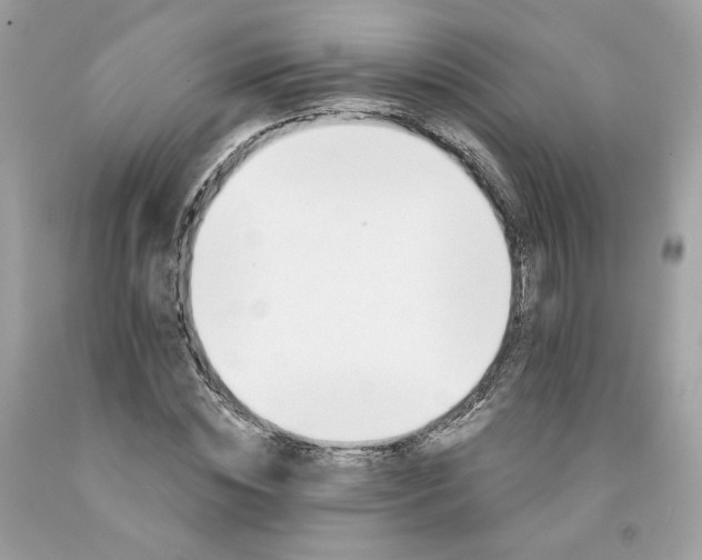 X0000091580828200709051059