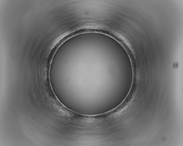 X0000091580829200709051059