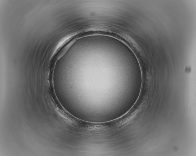 X0000091580830200709051059