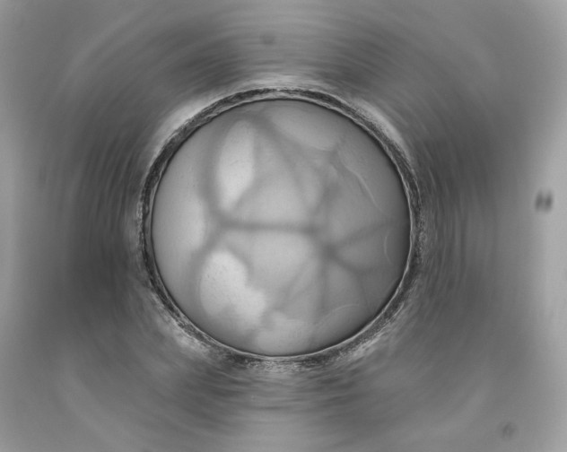 X0000091580831200709051059