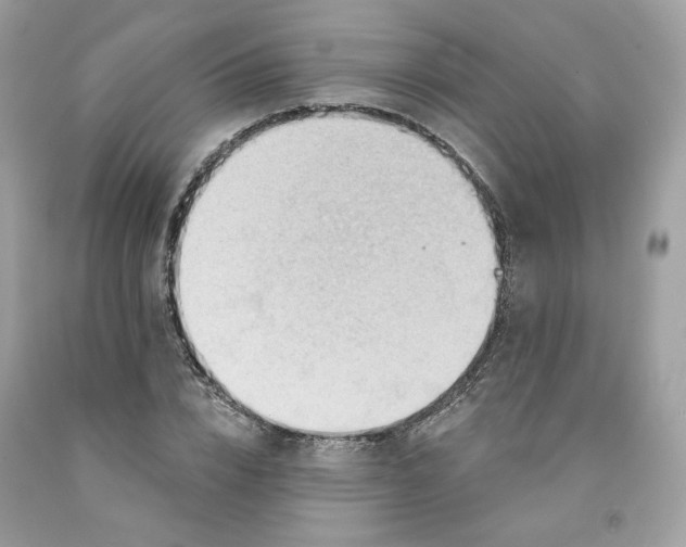 X0000091580832200709051059