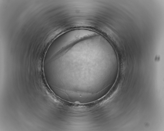 X0000091580833200709051059