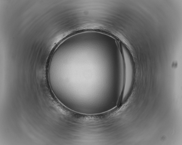 X0000091580834200709051059