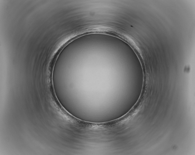 X0000091580835200709051059