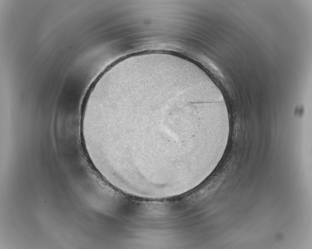 X0000091580836200709051059