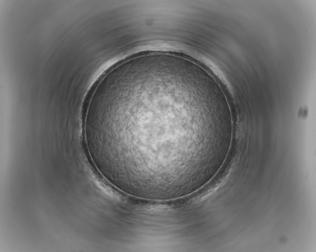 X0000091580837200709051059