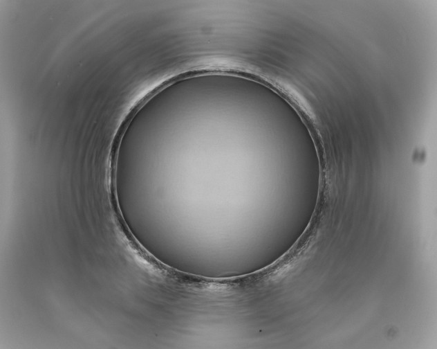 X0000091580839200709051059