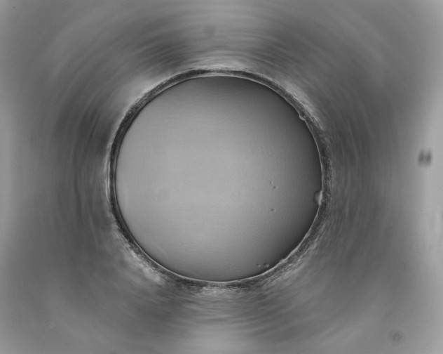 X0000091580840200709051059