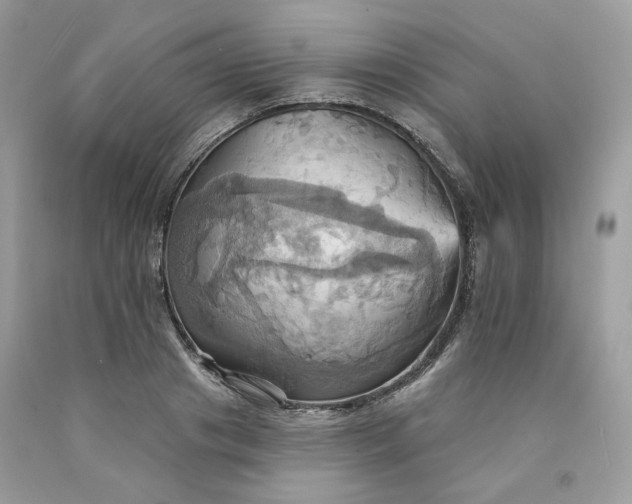 X0000091580841200709051059