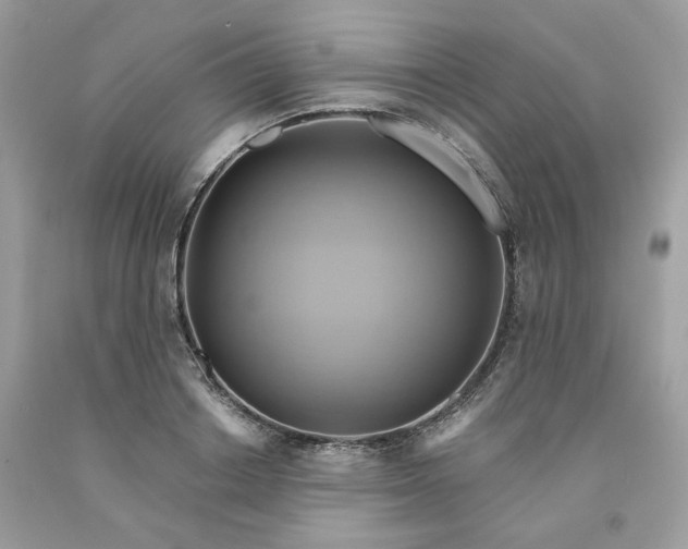 X0000091580842200709051059