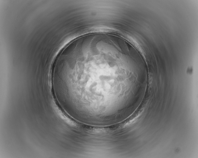 X0000091580843200709051059