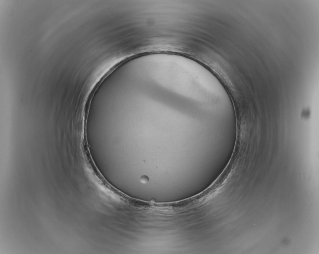 X0000091580844200709051059