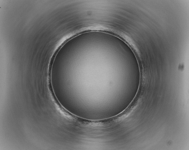 X0000091580845200709051059